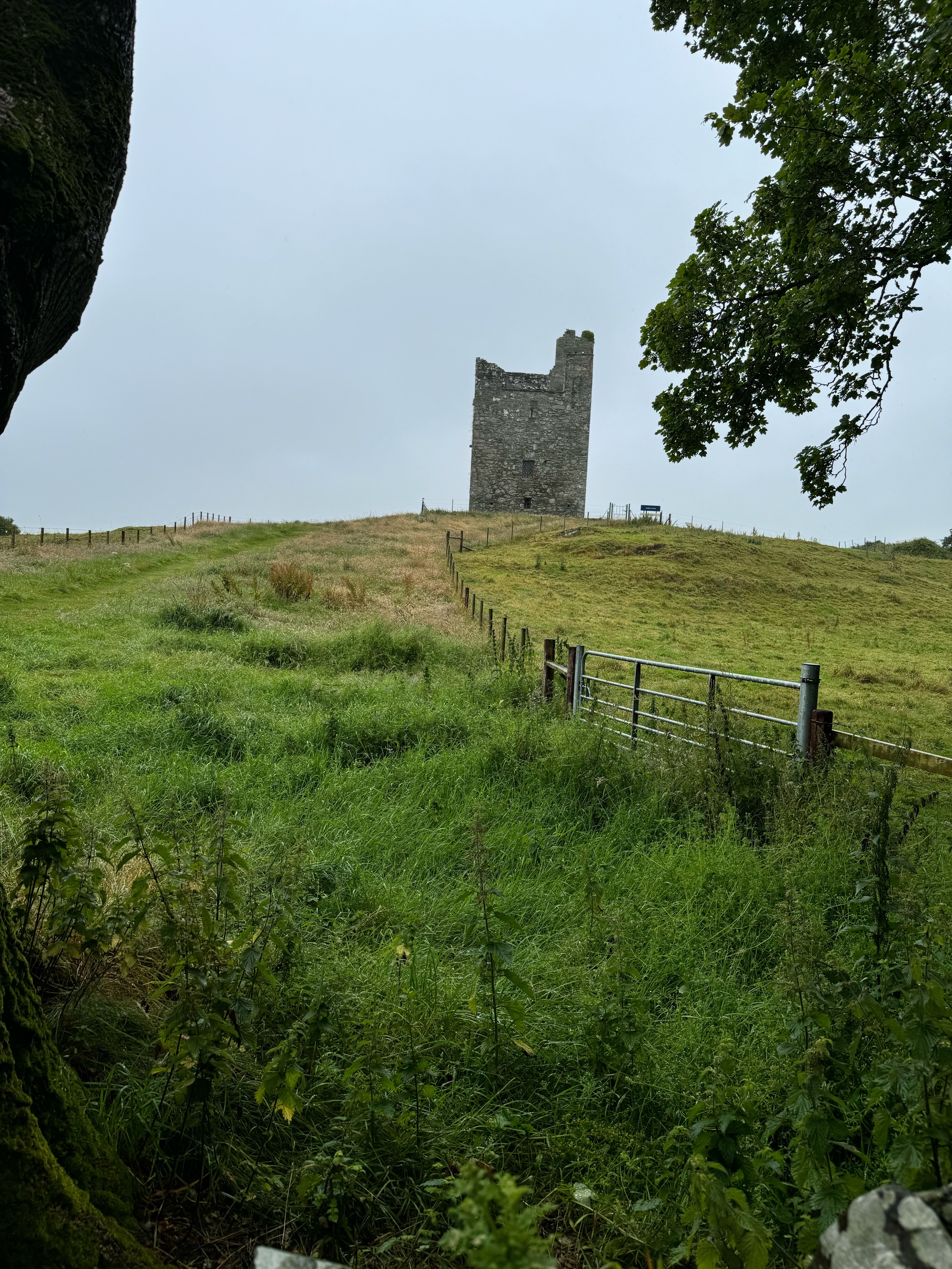 Audley's Castle