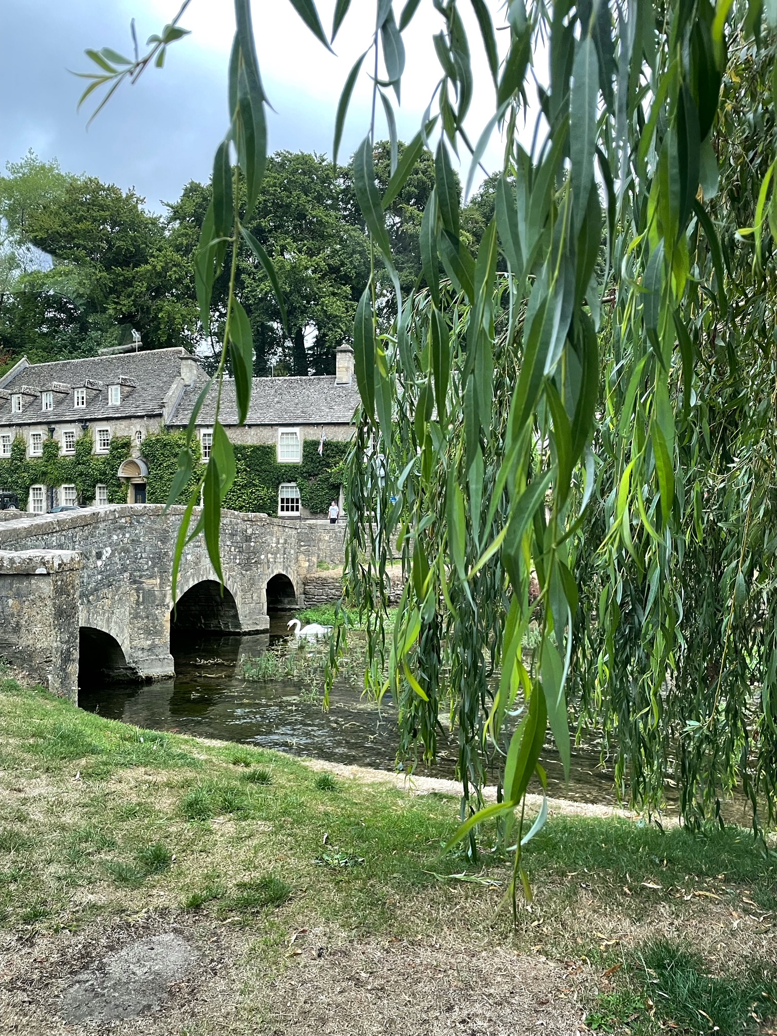 Bibury Swan