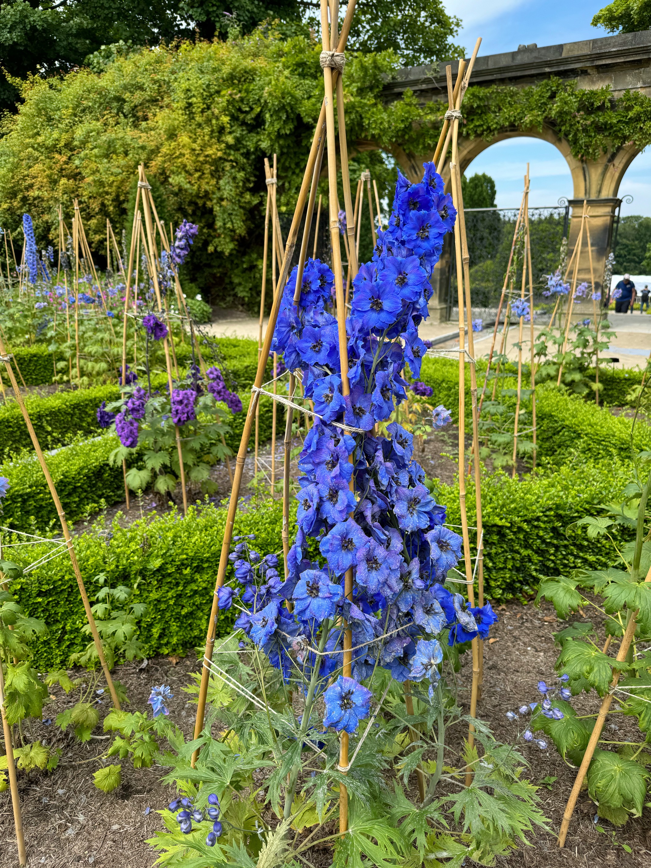 Ornamental Garden 2