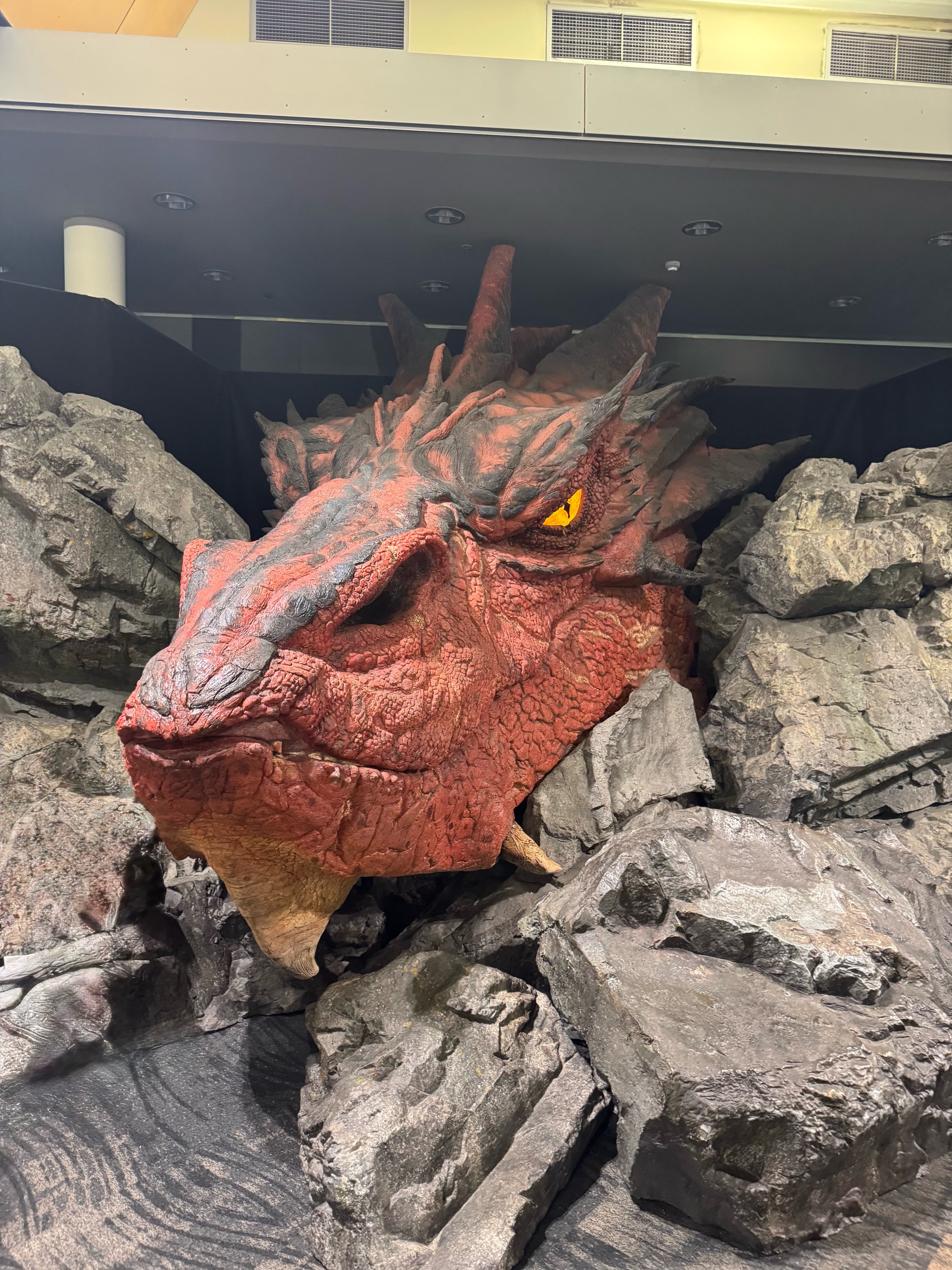 Smaug Airport