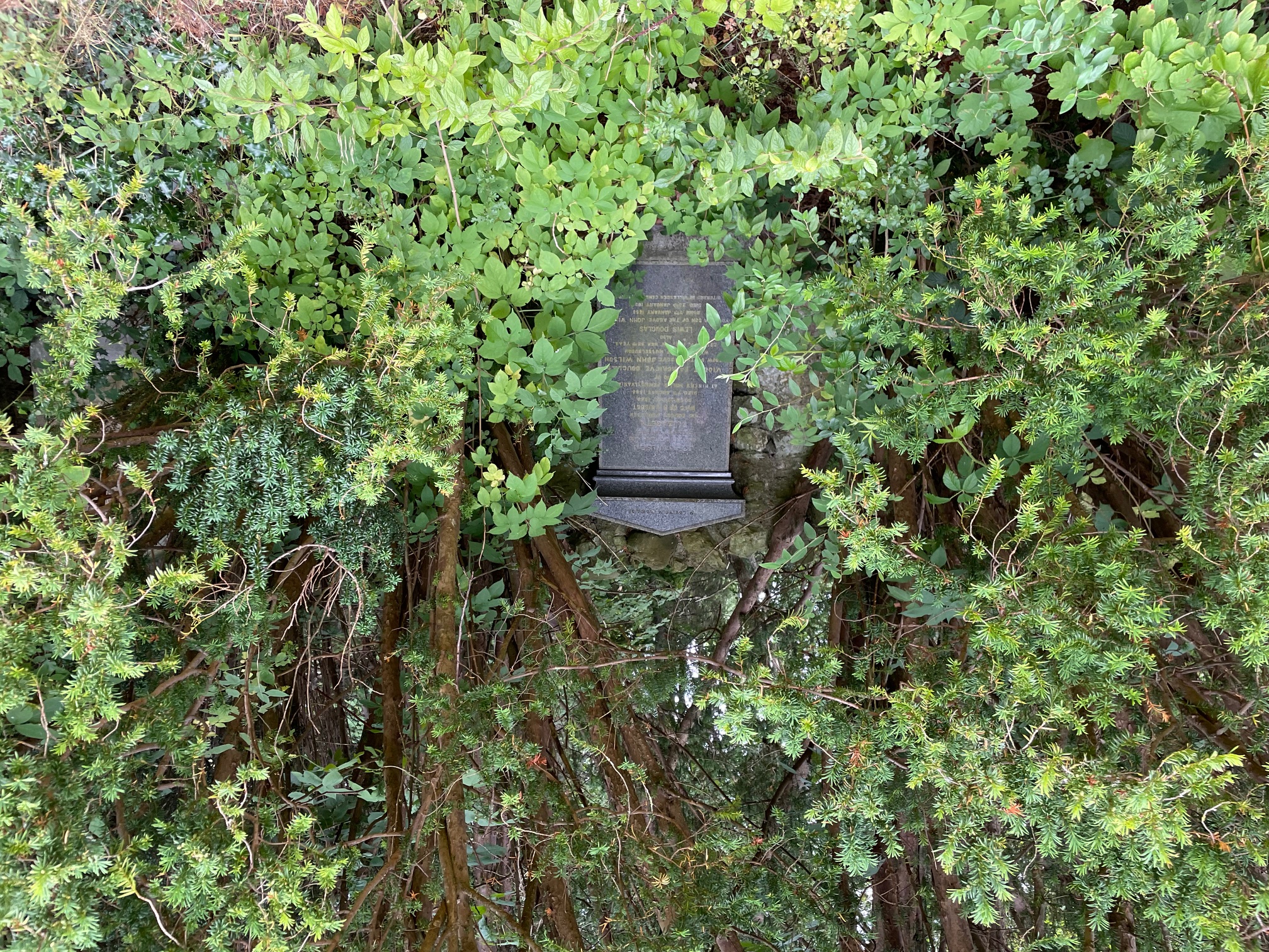 Temple Old Kirk Grave in Trees