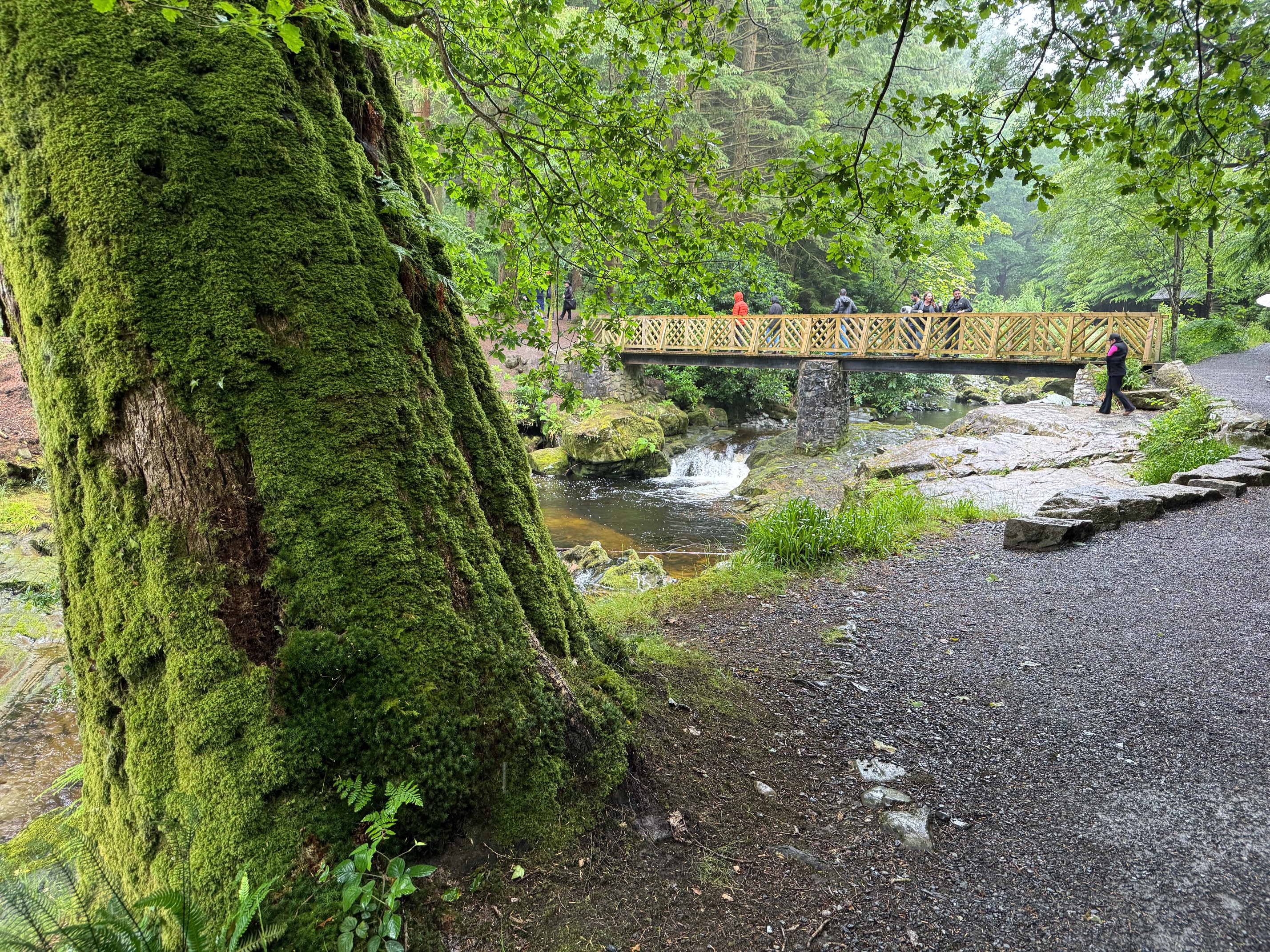 Tollymore Forest Bridge