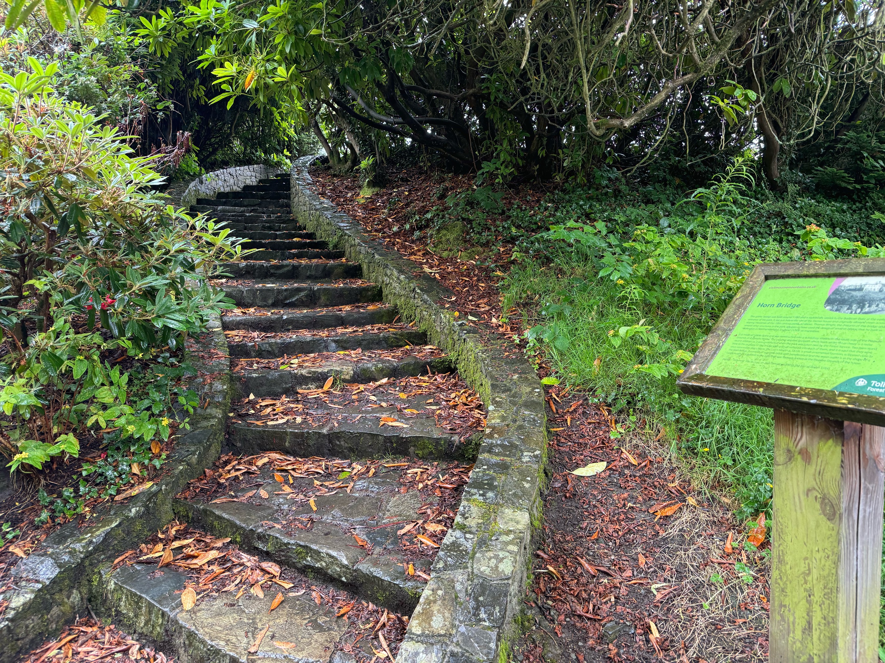 Tollymore Forest is gorgeous with it's two rivers, moss covered tress, and numerous bridges. It feels right out of a fantasy. It's no wonder Game of Thrones shot many iconic scenes here.