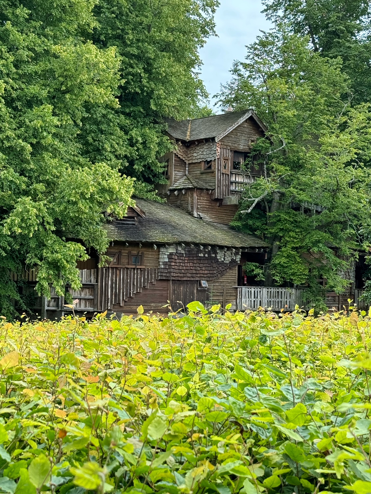 Alnwick Treehouse 