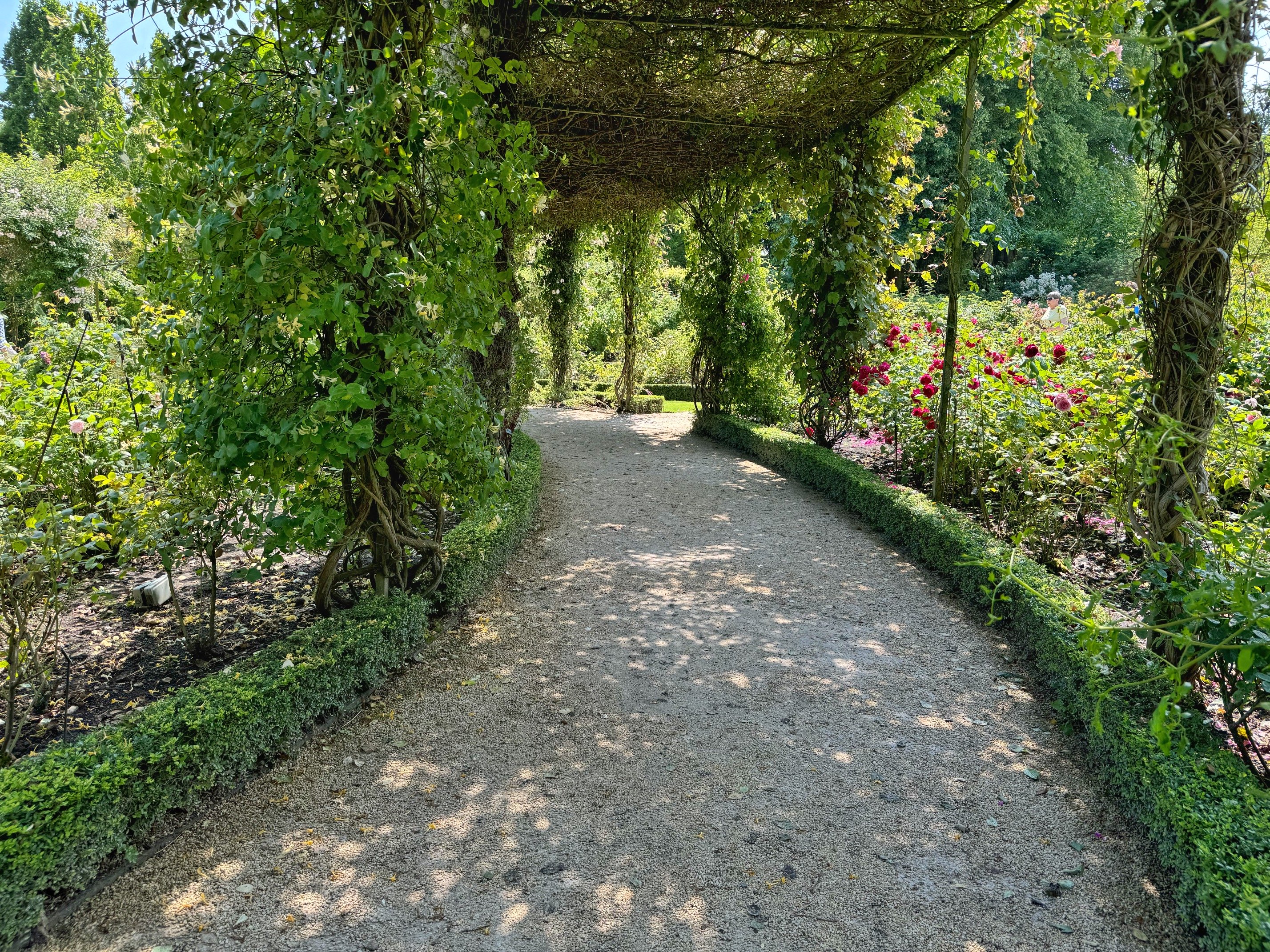 Alnwick Gardens