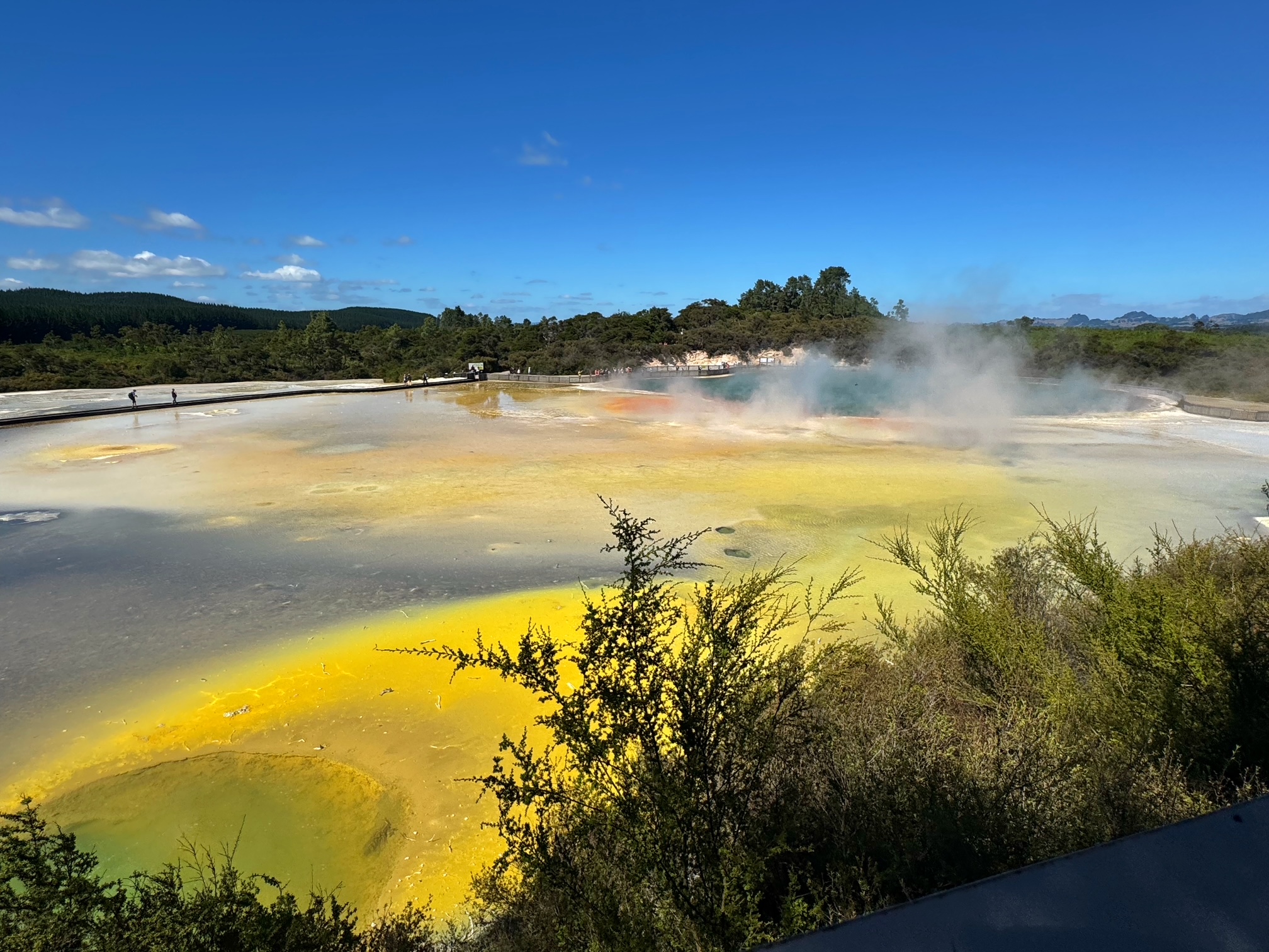 Walking through Wai-O-Tapu Thermal Wonderland is quite the experience as the sites, sounds, and smells of the land show you that it's undeniably alive.