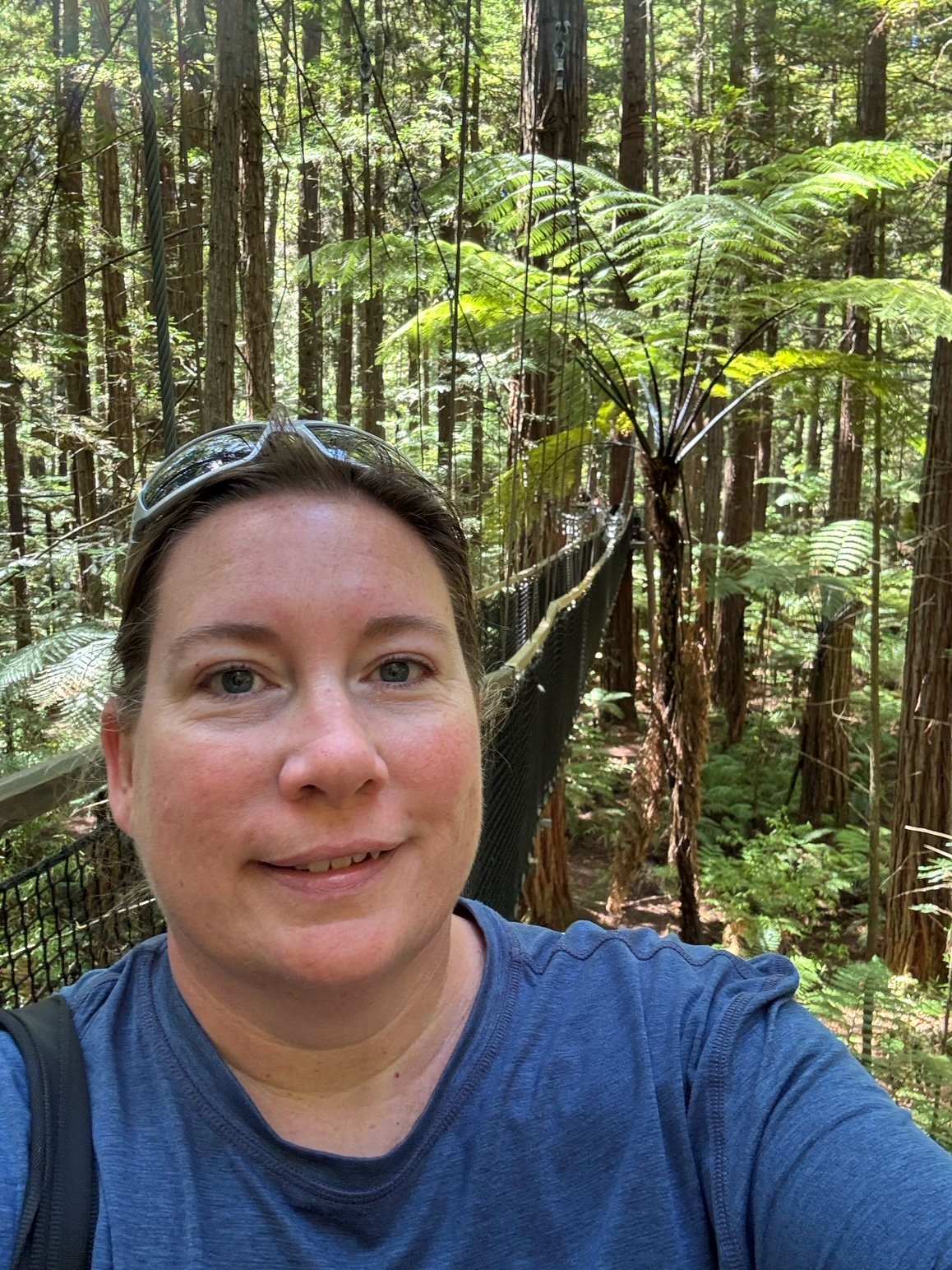 Me Redwoods Treewalk