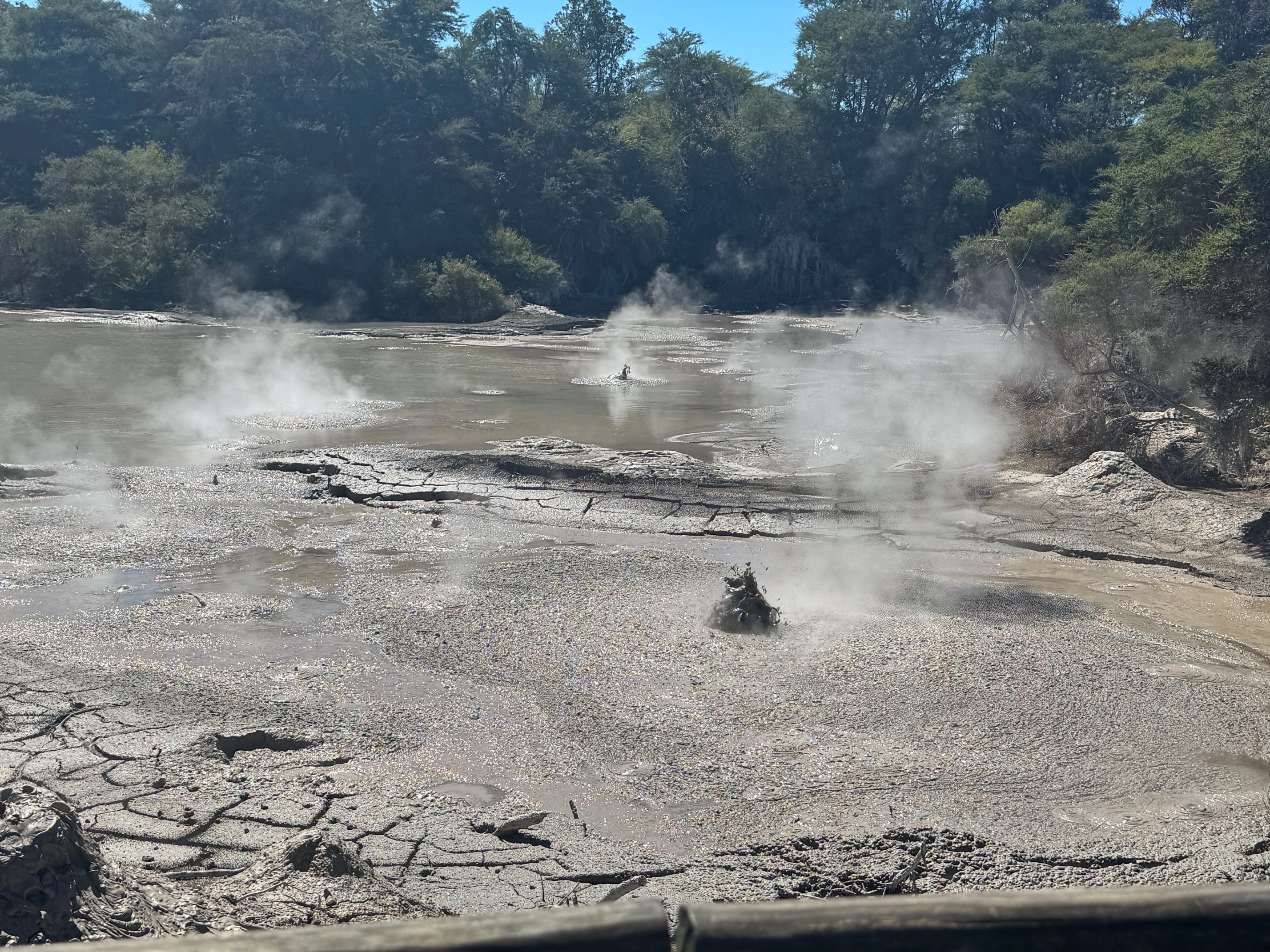 Mud Bath Wai-O-Tapu